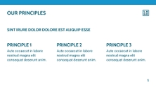 Free presentation  corporate template