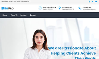 Bizpro