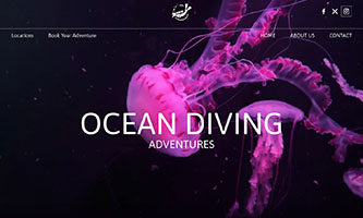 Ocean Diving